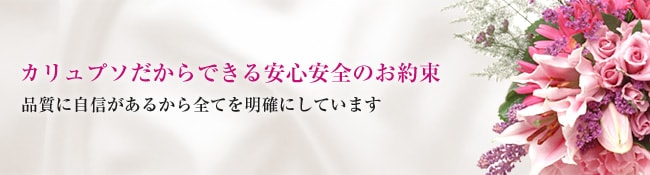 カリュプソだからできる安心安全のお約束|品質に自信があるから全てを明確にしています