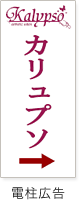 カリュプソ電柱広告